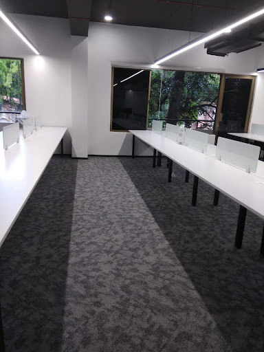 Photo from customer review